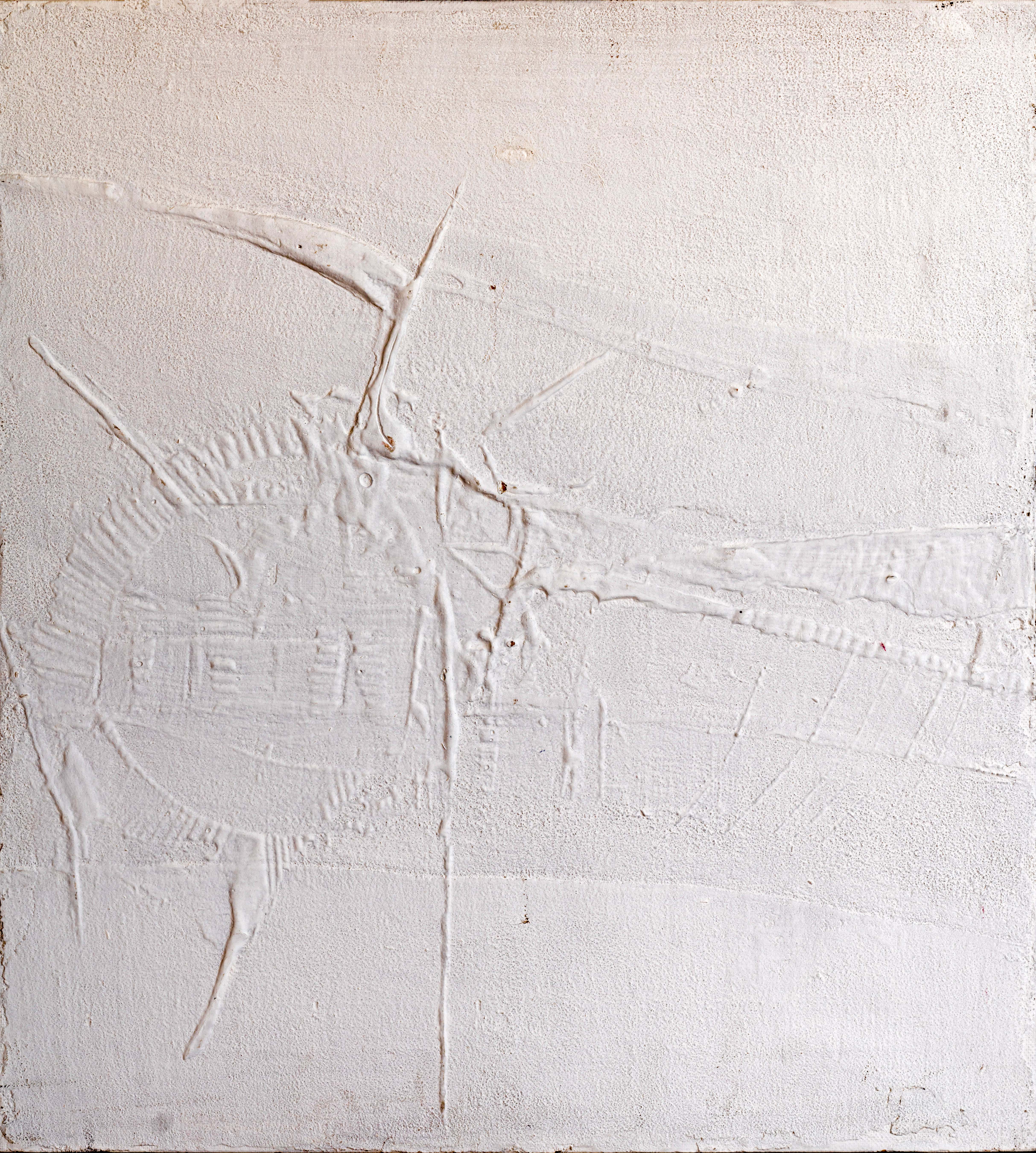 Relieve Blanco 3